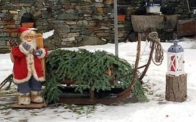 Les Chevreuils